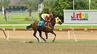 Astuto ganó en la raya la Copa Invitacional de Caribe (GI) en La Rinconada