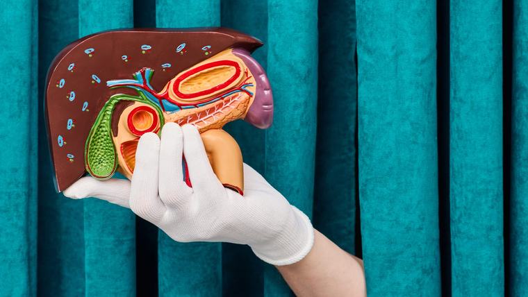 No solo importa qué se come: La hora de las comidas podría afectar nuestra salud