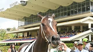 ¡Ganó la potra! Queen Of Dragons fue la más rápida del Clásico Sprinters Yeguas (GII) en La Rinconada