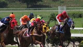 Gaceta Hípica TV: Consigue los mejores análisis del hipismo nacional e internacional (En Vivo)