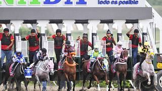 Jessenia Romero buscará sorprender con está nieta de Medaglia d’Oro que no corre desde hace 154 días