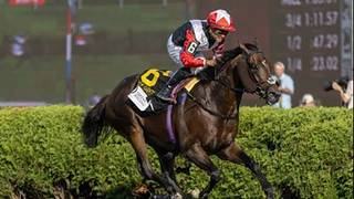 Glacius (GB) busca el triunfo en la cotizada bolsa de $3 millones del Nashville Derby Invitational Stakes (G2)