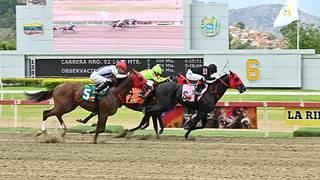 ¿Cambian los favoritos? Dos ejemplares quedan fuera de la Copa Invitacional del Caribe (GI)
