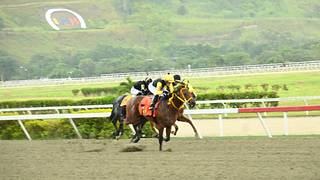Nieto de legendario campeón estadounidense reaparece en La Rinconada